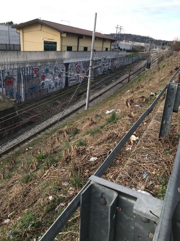 Progetto Abitare il paese liceo scientifico